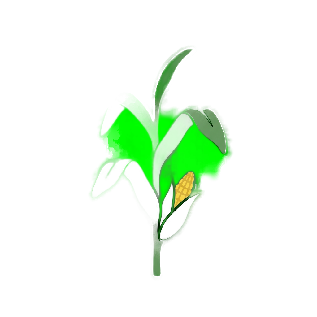 corn_stage3_growing_1767849717636.png