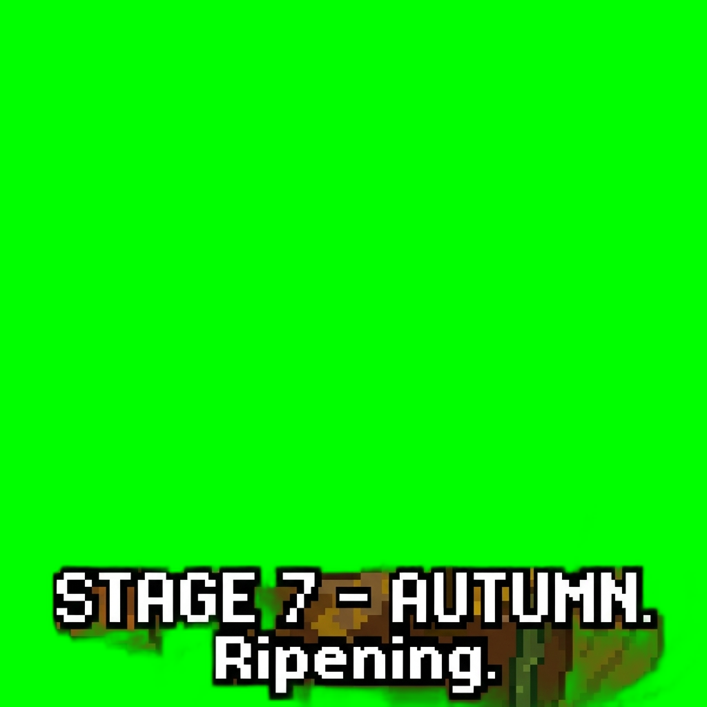 pepper_stage7_autumn.png